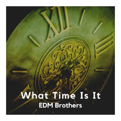 EDM Brothers 歌手