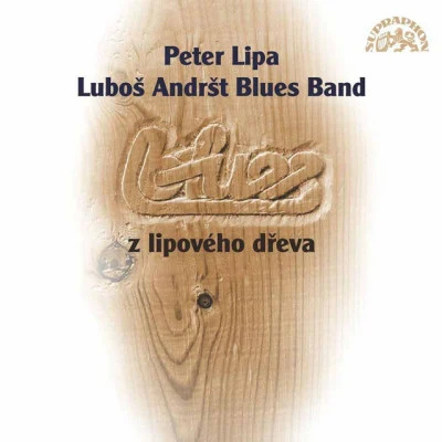 歌手 Luboš Andršt Blues BandReesie DavisT-Bone Walker