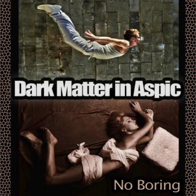 歌手 Dark Matter in Aspic