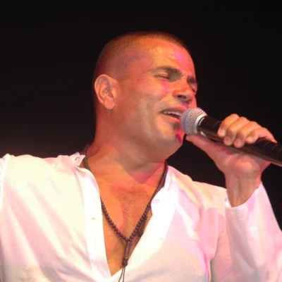 Amr Diab 歌手