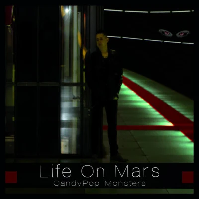 Life On Mars 歌手