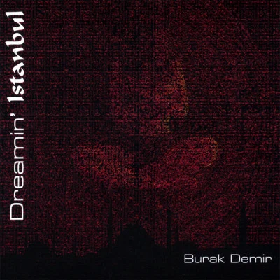 歌手 Burak Demir