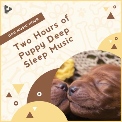 Relaxing Music for Dogs 歌手