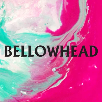 Bellowhead 歌手