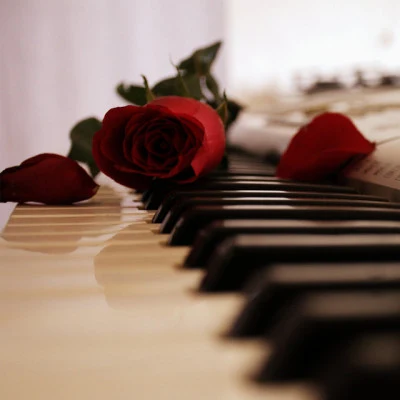 Piano para Relajarse 歌手