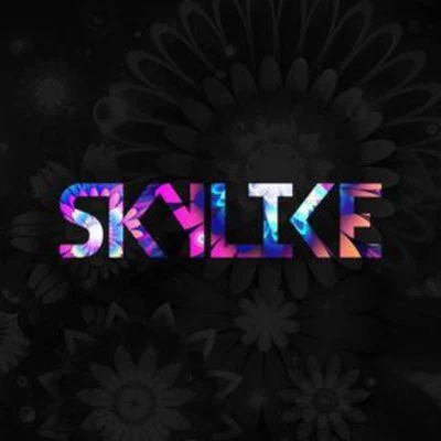 Skylike/Ekko Dance Monkey