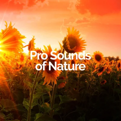 Pro Sounds of Nature 歌手