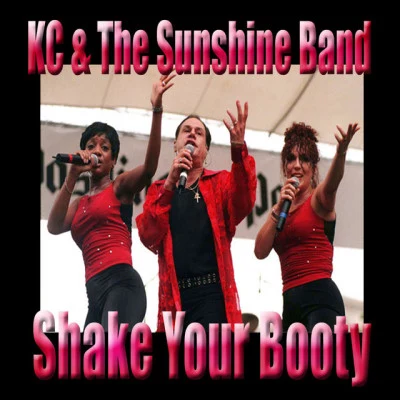 The Sunshine Band/K.C. 101 Housework Songs