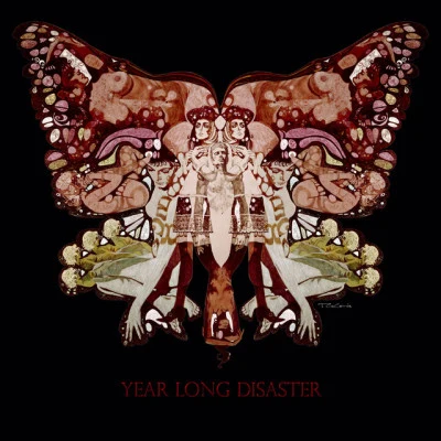 歌手 Year Long Disaster