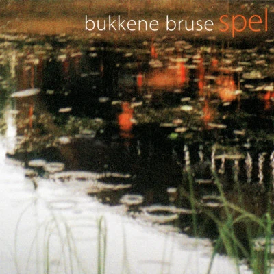 歌手 Bukkene Bruse