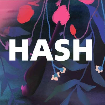 歌手 HASH樂隊