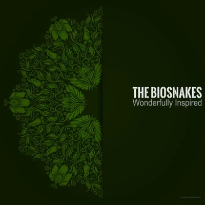 歌手 The Biosnakes