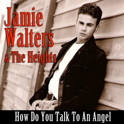 歌手 Jamie Walters & The Heights