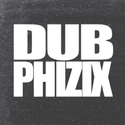 歌手 Dub Phizix