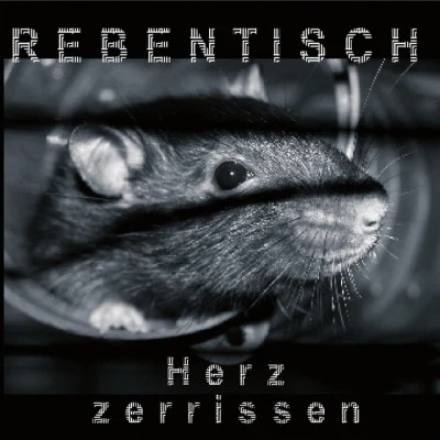 歌手 Rebentisch