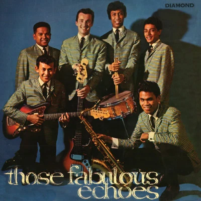 歌手 The Fabulous Echoes