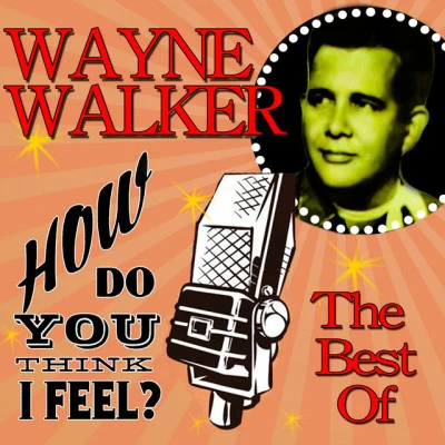 歌手 Wayne Walker