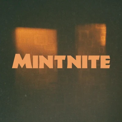 歌手 Mintnite