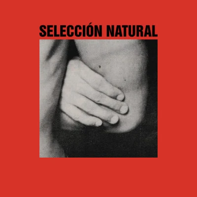 歌手 Seleccion Natural