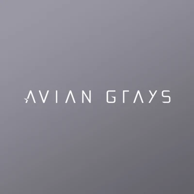 歌手 Avian Grays