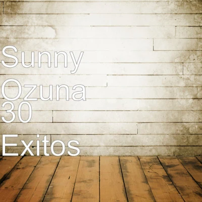 Sunny Ozuna 歌手