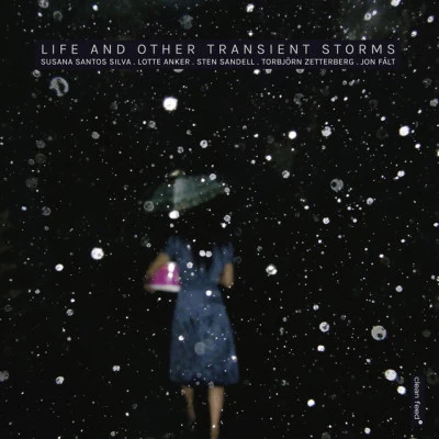 Life and Other Transient Storms 歌手