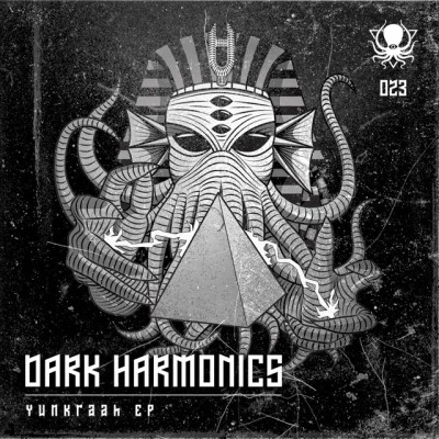 歌手 Dark Harmonics