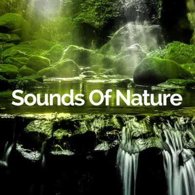 Sounds Of Nature/Calming Music Ensemble/Soothing Sounds Nature Songs for Good Thoughts: Positive Attitude, Nature Music for Stress and Tinnitus Relief, Deep Relax, Optimistic Outlook, Restful Oasis