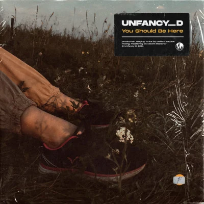 Unfancy D 歌手