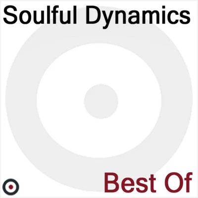 歌手 Soulful Dynamics