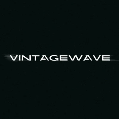 Vintagewave 歌手