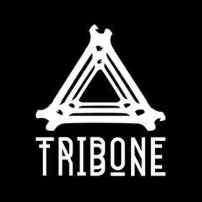 歌手 Tribone