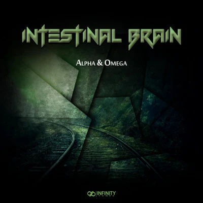 Intestinal Brain 歌手