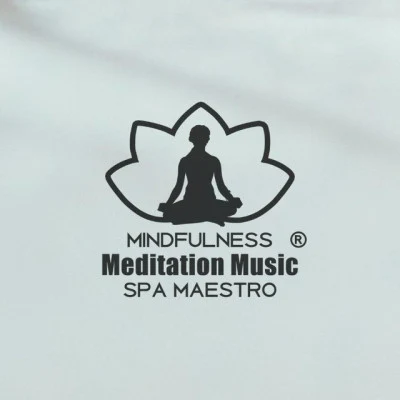 歌手 Mindfulness Meditation Music Spa MaestroZENMusica HinduMusique IndienneMusique HindoueRelaxationWorld MusicMeditationSpa & SpaEnsemble de Musique Zen Relaxante