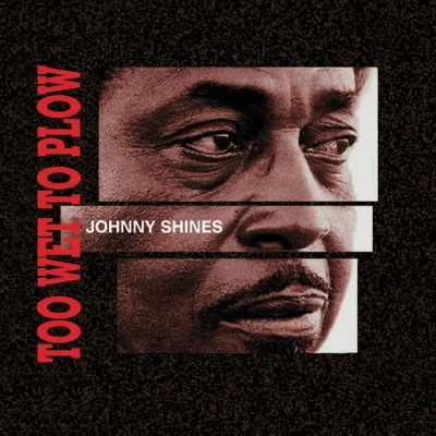 Johnny Shines 歌手