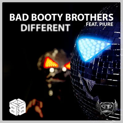 Bad Booty Brothers 歌手