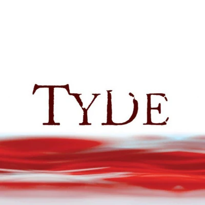 歌手 Tyde