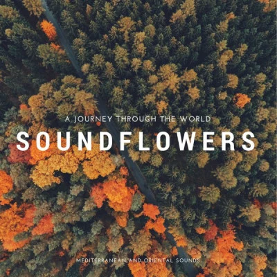 Soundflowers/Jackson/Mayer/Raffika Dionisio house Candy - the annual