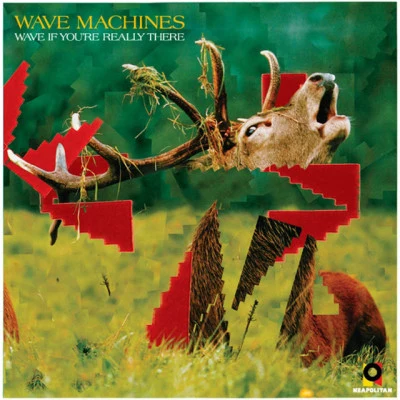 歌手 Wave Machines