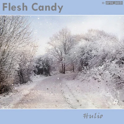 歌手 Flesh Candy