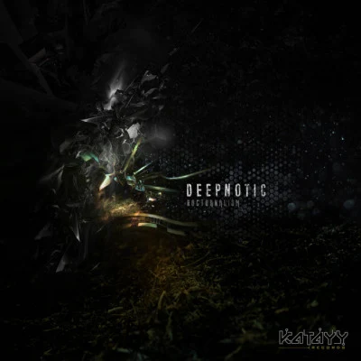 歌手 Deepnotic