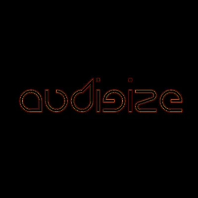 Audigize 歌手