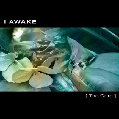 I Awake 歌手