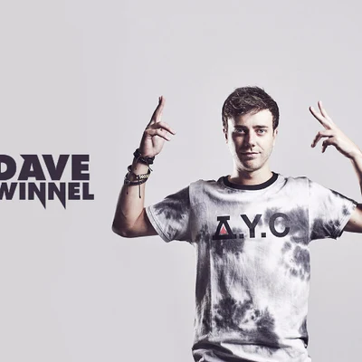 歌手 Dave Winnel