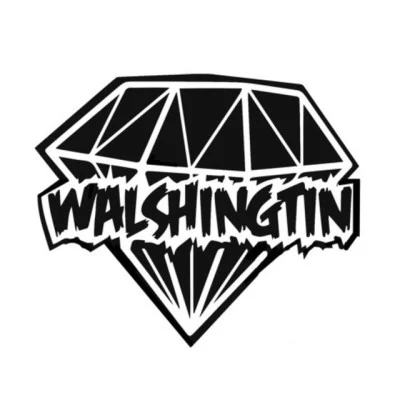 歌手 Walshingtin