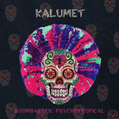 歌手 Kalumet