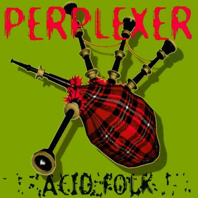 歌手 Perplexer