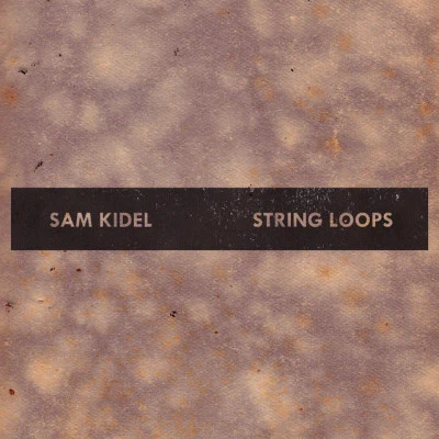 歌手 Sam KidelParris