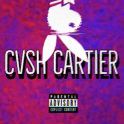 Cvsh Cartier/BigKayBeezy book bag (remix)