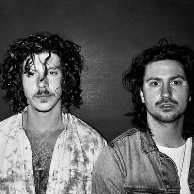 歌手 Peking Duk